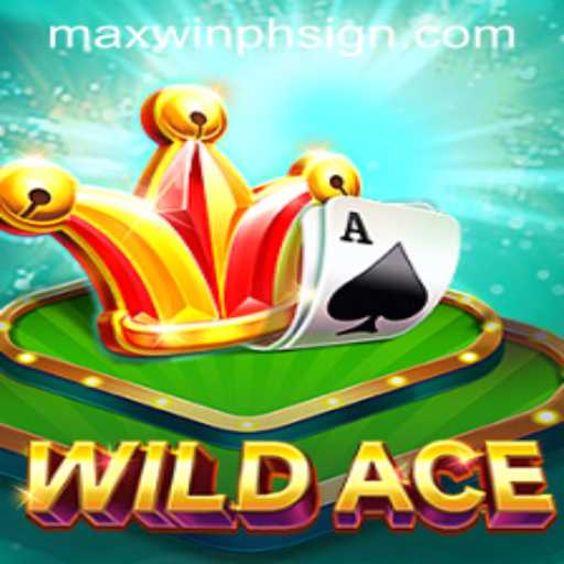 Experience the Thrills of WildAce: A Comprehensive Guide